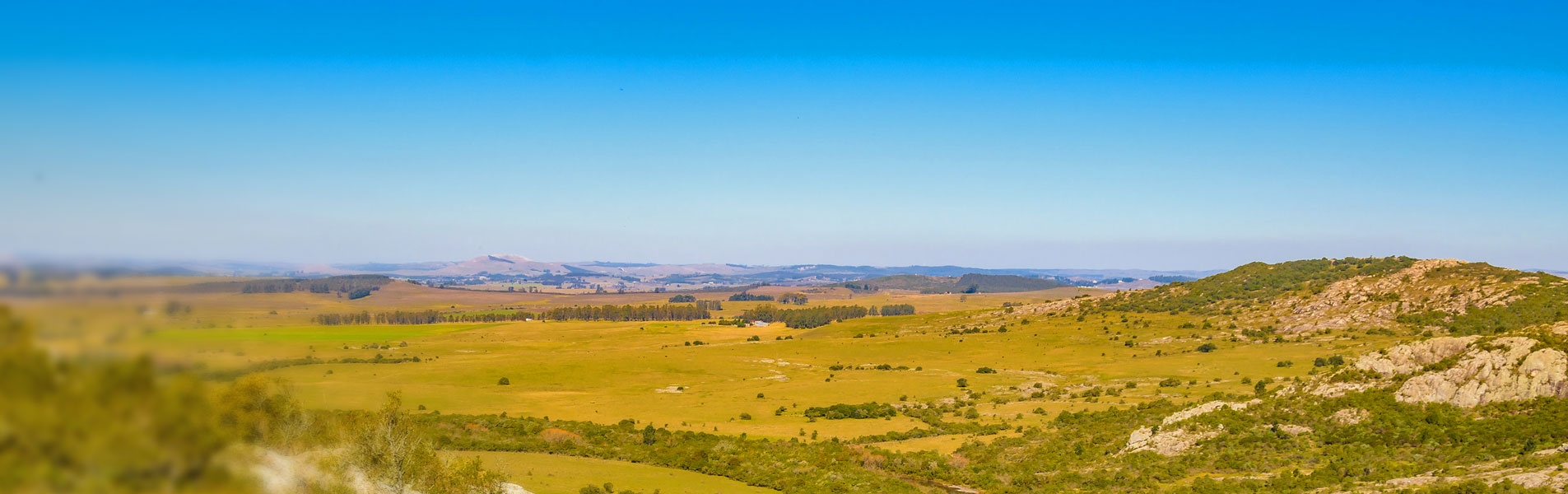  Inmobiliaria Rural