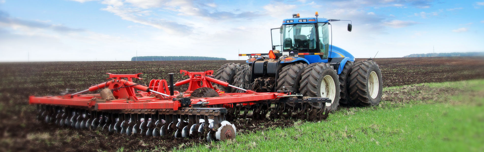 RG&S Agronegocios