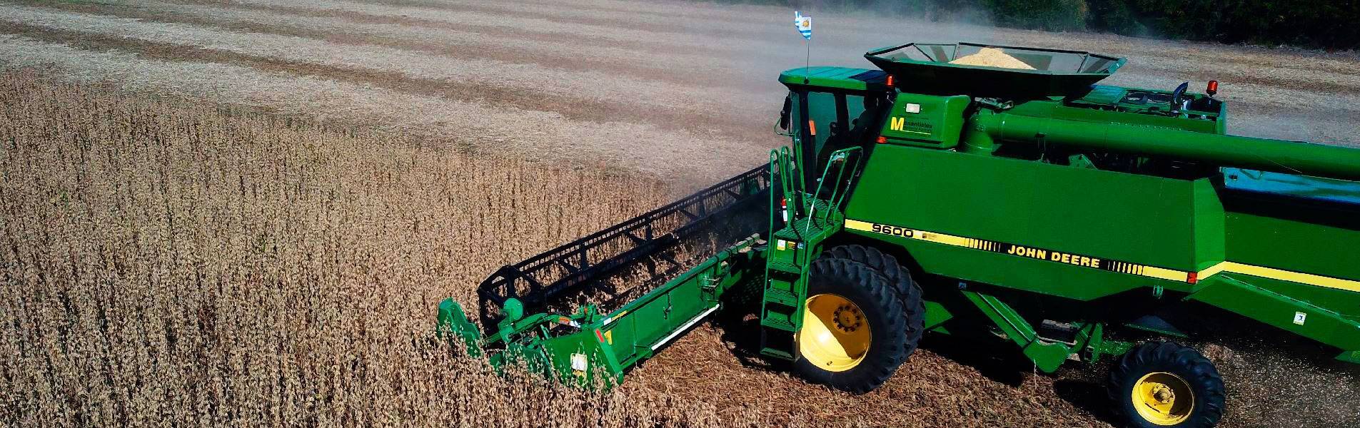 RG&S AgroNegocios