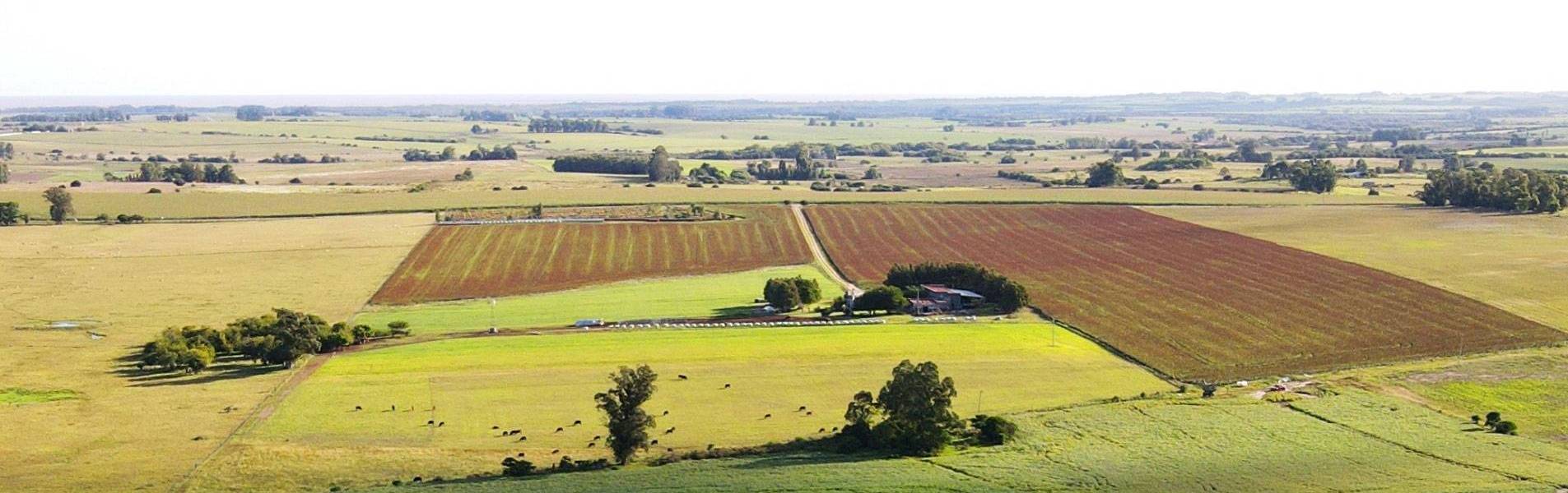  Inmobiliaria Rural