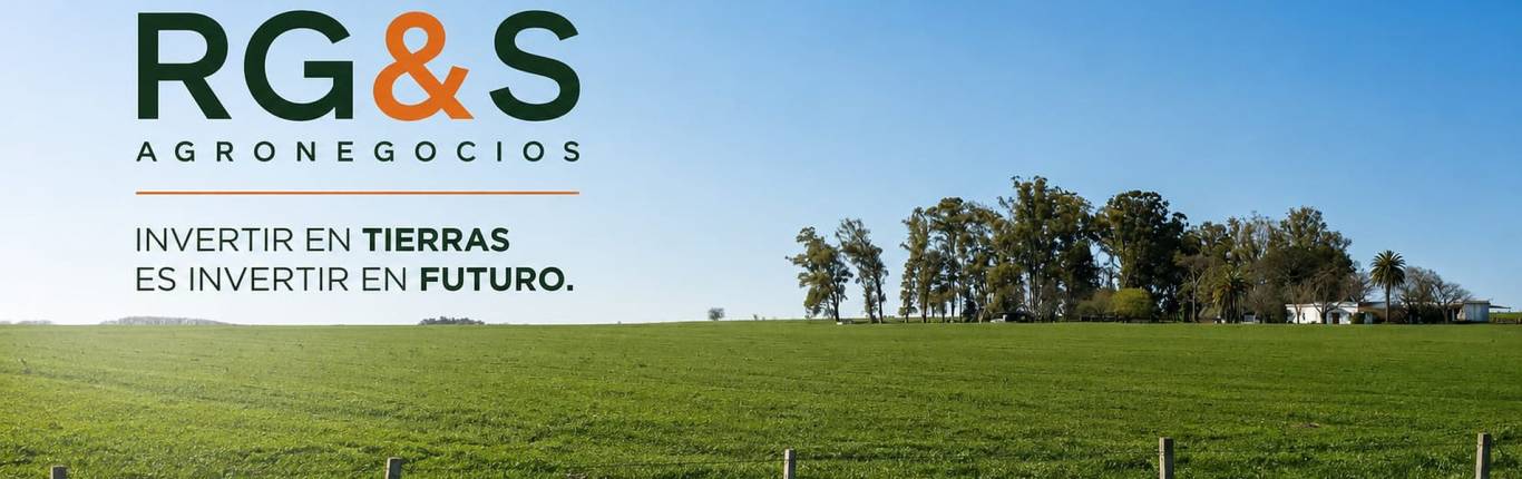 https://www.rgsagronegocios.com//imgs/redes_sociales/imagen31_16.png