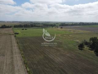 Campo Agrícola em San Jose