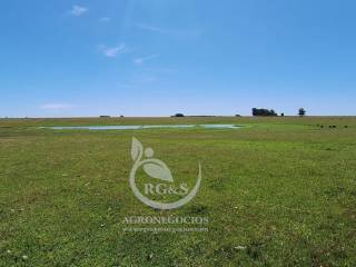 Fazenda Pecuária Agrícola