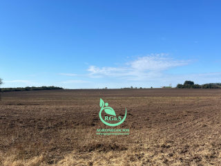 Venta  Colonia Colonia Estrella