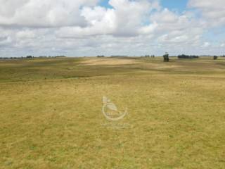 Venta  Cerro Largo Departamento