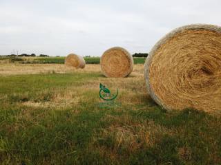 Venta Canelones Departamento