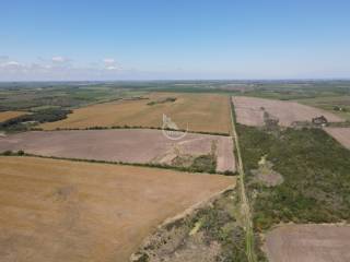 Venta  Colonia Carmelo