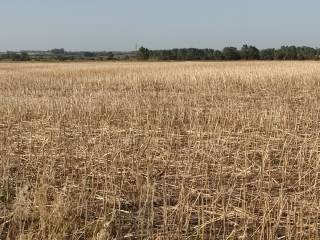 Venta  Soriano Departamento