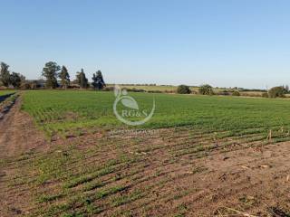 Venta  Colonia Carmelo