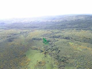 Venta  Cerro Largo Mangrullo