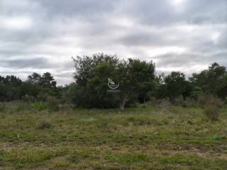 Venta  Cerro Largo Mangrullo