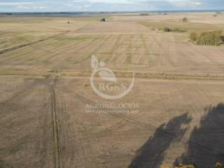 Venta  Soriano Risso