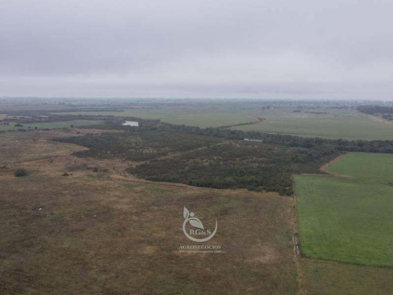 Área para limpiar en la costa