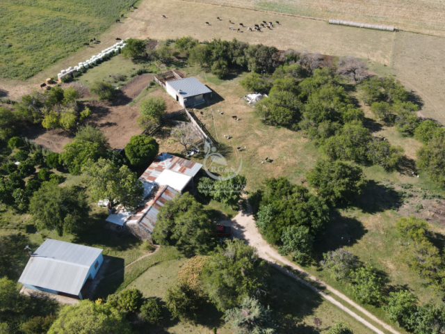 Casa, galpones y sala de ordeñe. Parque arbolado y quinta frutal