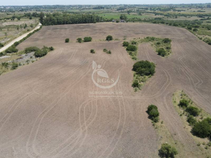 Área movida para implante de pasturas