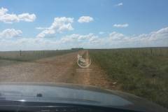 Acceso todo el a&ntilde;o.