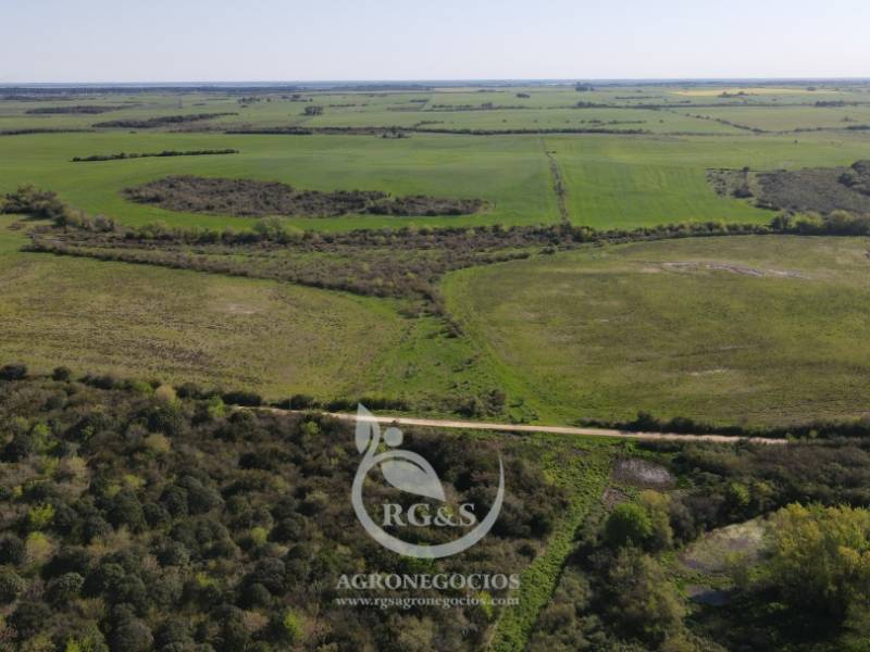 Vista del campo, muy linda zona productiva