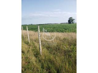 Venta  Rocha Alferez