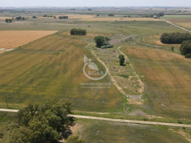 Bajos en una de las partes agrícolas