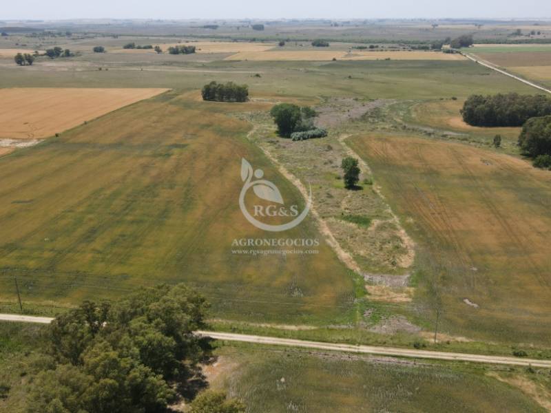 Bajos en una de las partes agrícolas