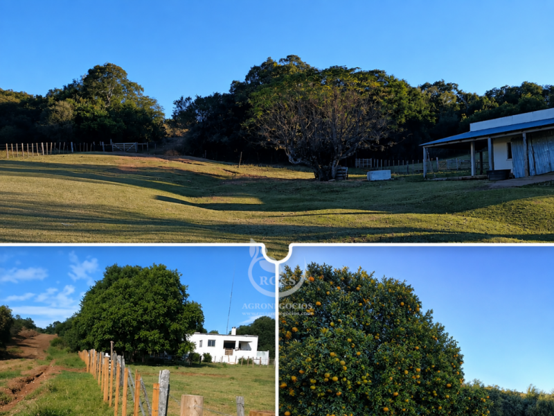 Fully equipped cattle ranch in Tacuaremb&oacute;, Uruguay