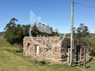 Venta  Maldonado Pueblo Edn