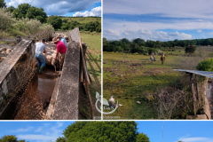 Estancia Ganadera en Tacuaremb&oacute; | RG&S AgroNegocios