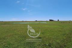 Fotos ilustrativas, tomadas en un campo similar