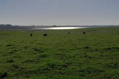 Represa de un vecino que siembra arroz.