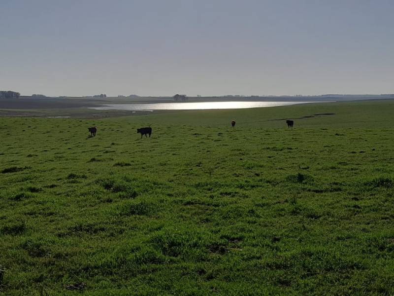 Represa de un vecino que siembra arroz.